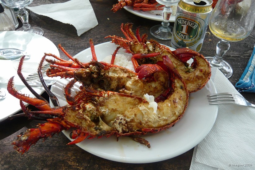10.65- Langouste a l'ile des Pins.JPG